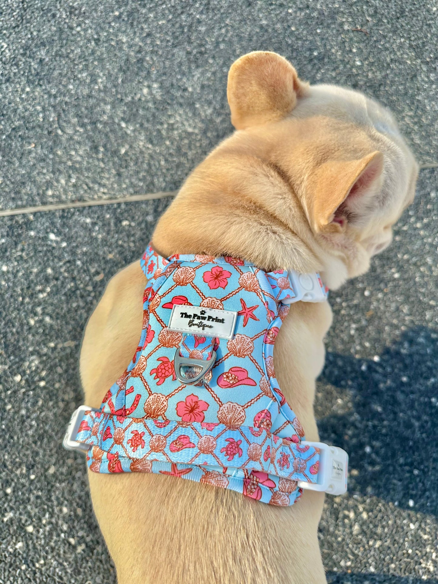 She Sells Seashells Harness