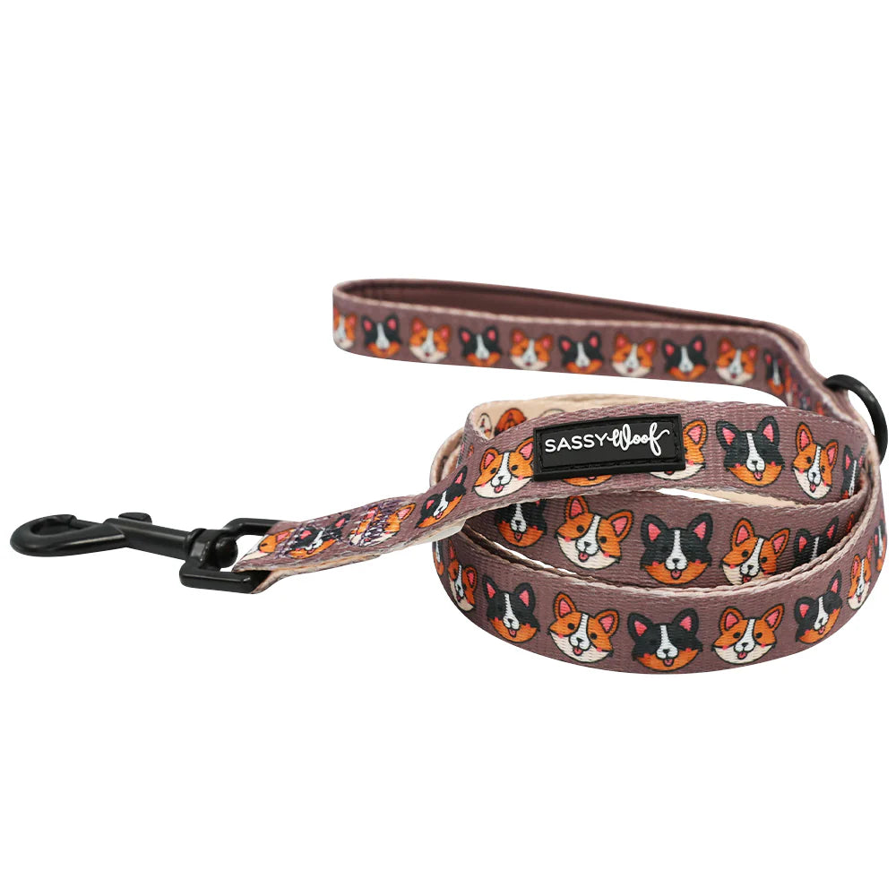 Cuddly Corgi Leash