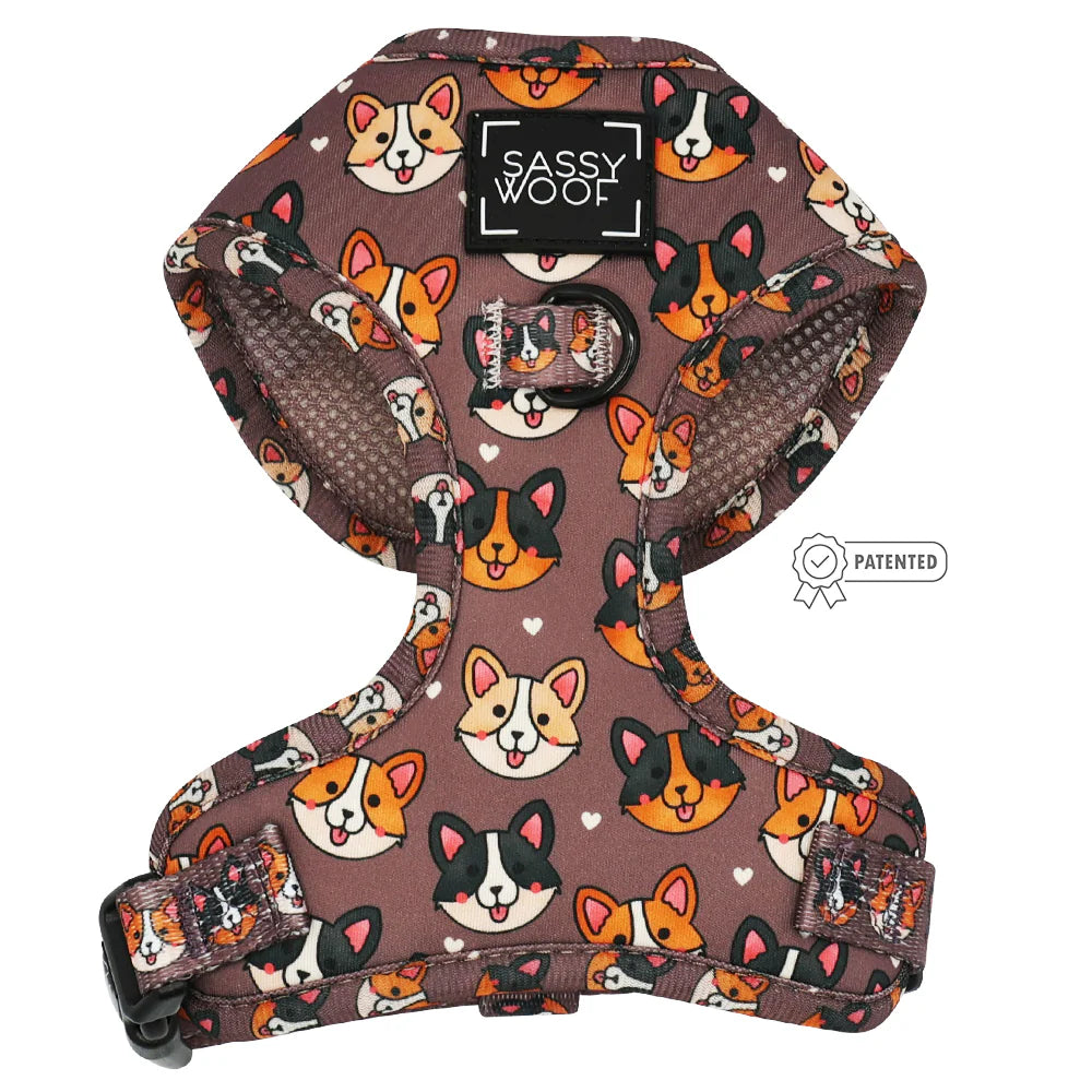Cuddly Corgi Harness