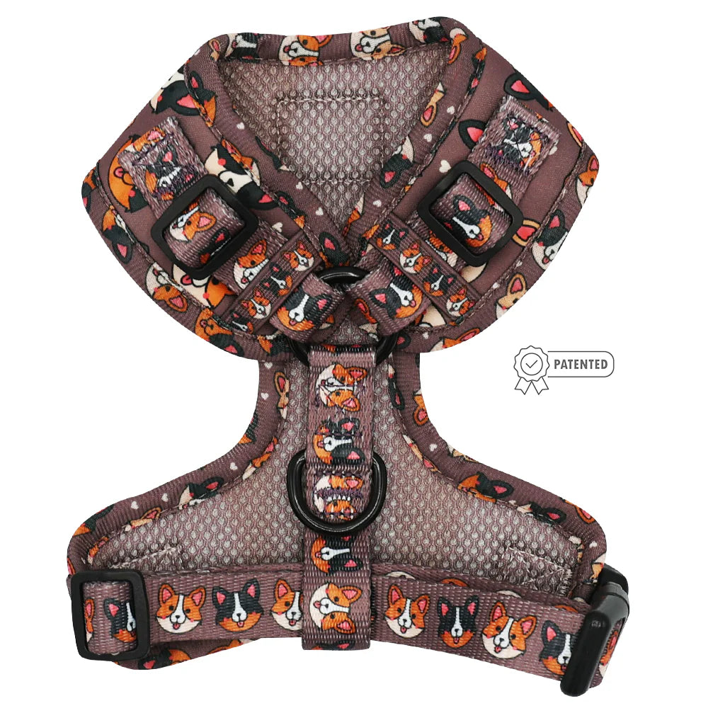Cuddly Corgi Harness