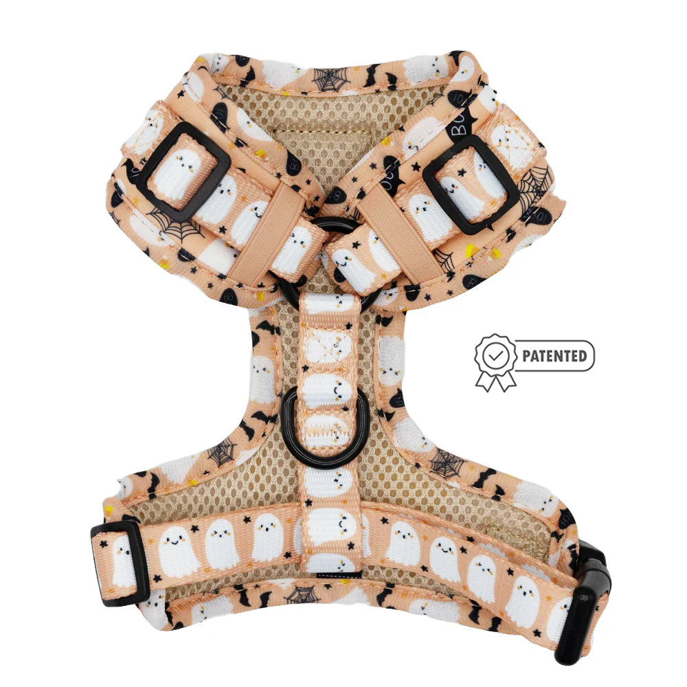 Squad Ghouls Harness