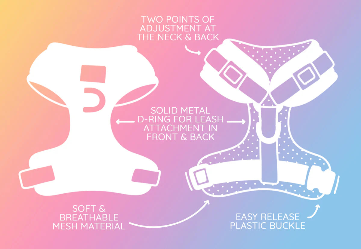 Squad Ghouls Harness