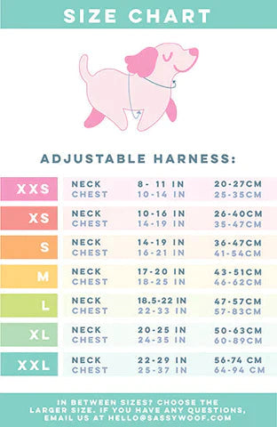 Haunt Mess Harness