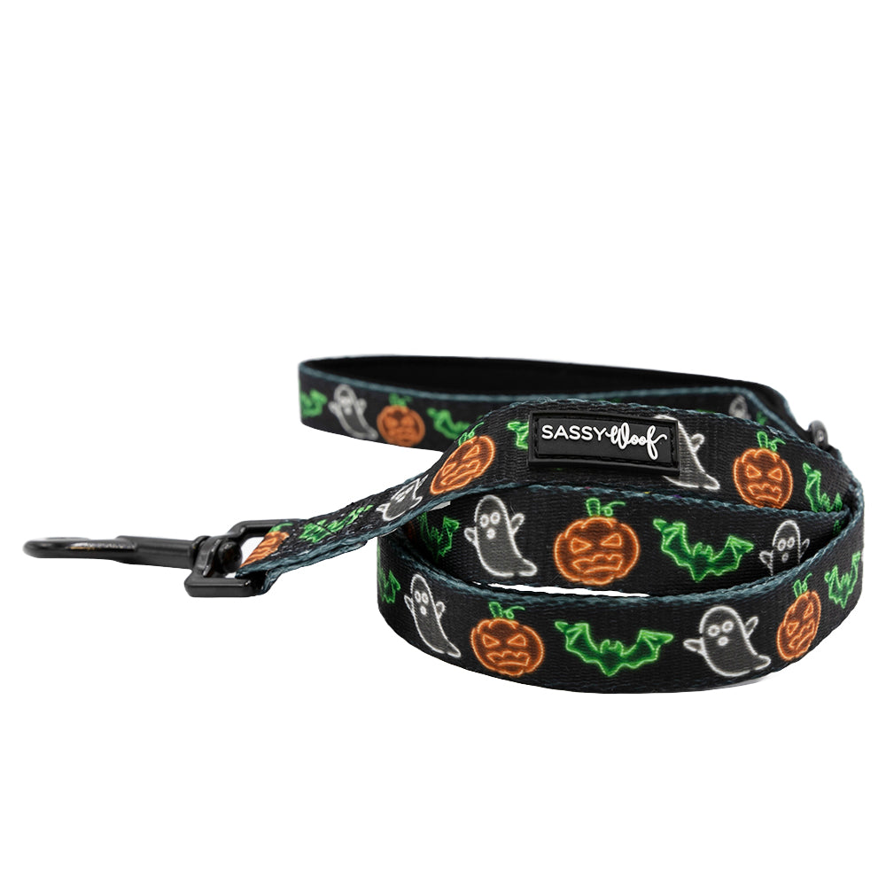 Neon Fright Leash