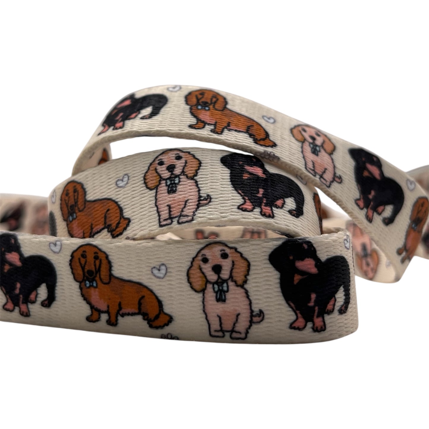 The Dachshund Leash