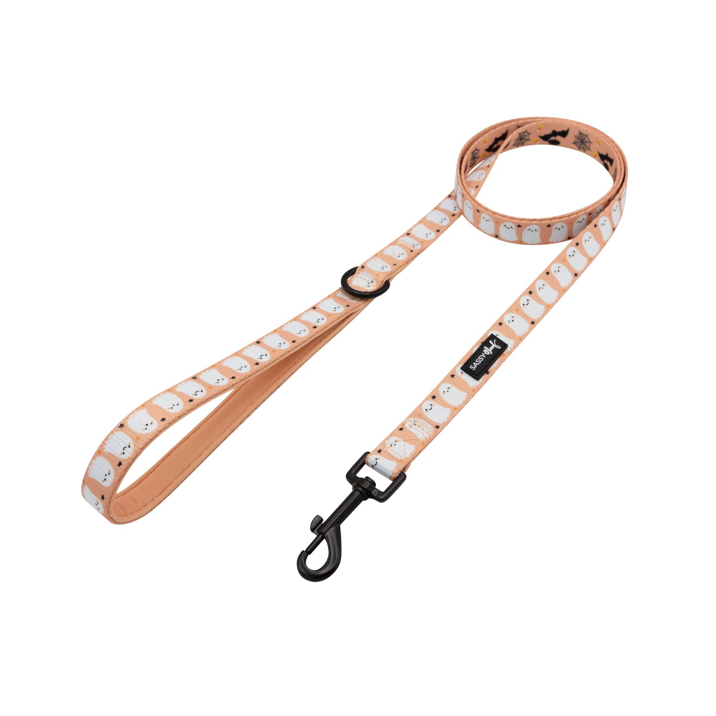 Squad Ghouls Leash