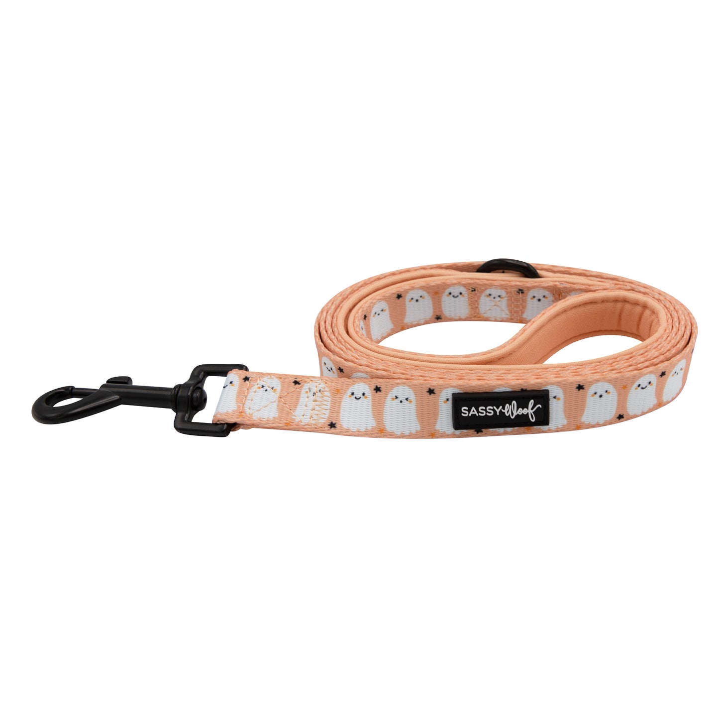 Squad Ghouls Leash