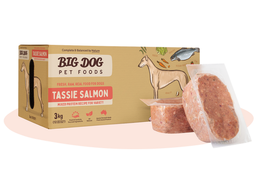 Big Dog Barf Tassie Salmon Raw Diet