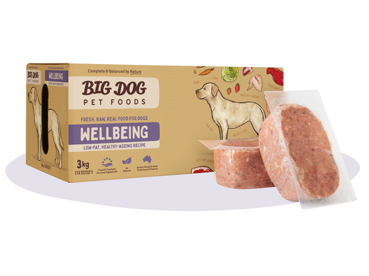 Big Dog Barf Wellbeing Raw Diet