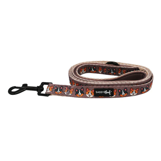 Cuddly Corgi Leash