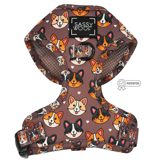 Cuddly Corgi Harness