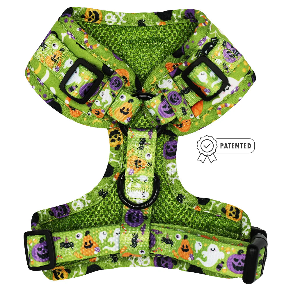 Haunt Mess Harness