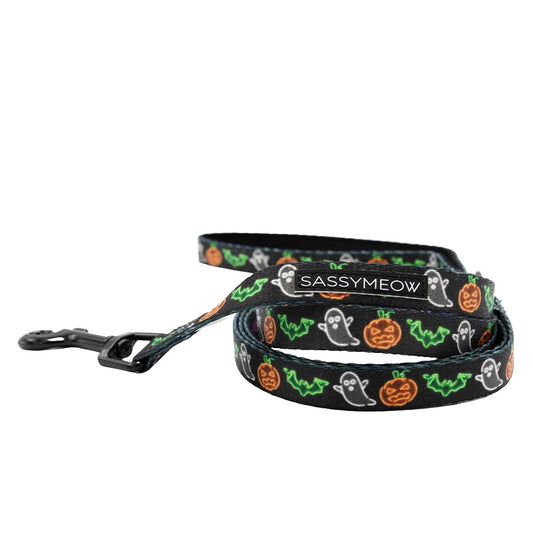 Neon Fright Leash (For Cats)