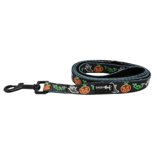 Neon Fright Leash