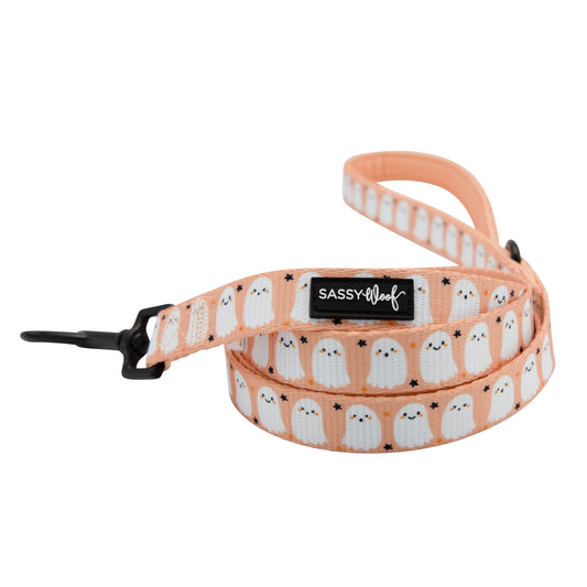 Squad Ghouls Leash